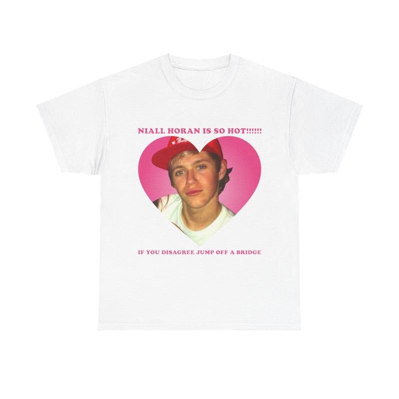 Niall is is so hot meme shirt Hoodie, Sweatshirt | RetroVerseTees.com