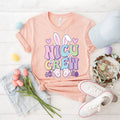 Nicu Crew DTF Transfers - THIS IS NOT A SHIRT Hoodie, Sweatshirt | RetroVerseTees.com