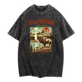 Nostalgic Washed Travel Tee: Retro Straw hat pirates National Park Design Evoking Wanderlust, with Wash Effect style 02...