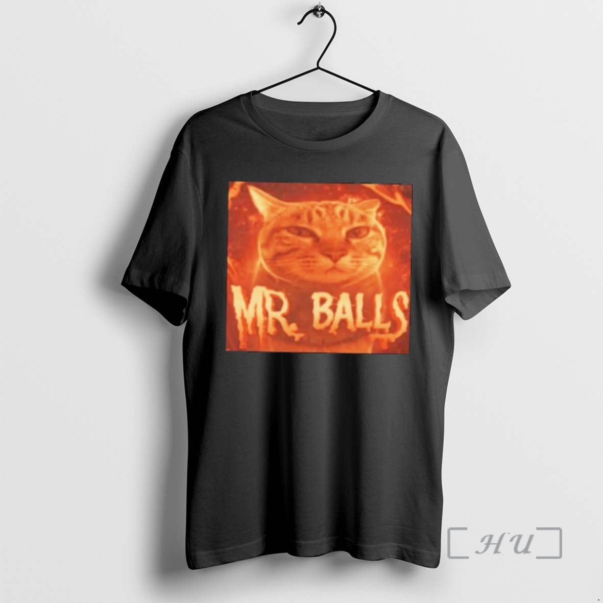 Officials Mr Balls Cat Meme