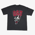 Ohio State Vintage T Shirt Men Women Heavy Tee Hoodie, Sweatshirt | RetroVerseTees.com