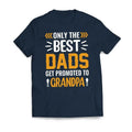 Only The Best DADS Are Promoted To GRANDPA Father's Day Men's T-Shirt Casual Classic Hoodie, Sweatshirt | RetroVerseTees.com