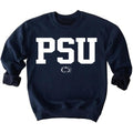 Penn State University Sweatshirt , Perfect Fan Gift Cotton Crewneck Sweater Pullover Unisex T-Shirts, Hoodie