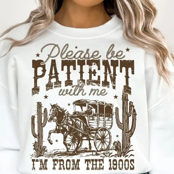 Please Be Patient with Me  DTF Transfers - THIS IS NOT A SHIRT Hoodie, Sweatshirt | RetroVerseTees.com