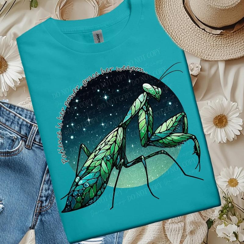Power Praying Mantis DTF Transfers - THIS IS NOT A SHIRT Hoodie, Sweatshirt | RetroVerseTees.com