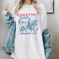 Premium  Chestnut Springs Series Books Shirt, Elsie Silver Cowboy Romance Sweatshirt, Western Cowboy Shirt, Romantasy...