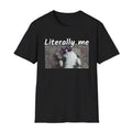 Pretty Cat Shirt, Literally Me Shirt, Cool Cat Meme Shirt, Cat Gift Shirt Hoodie, Sweatshirt | RetroVerseTees.com