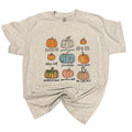 Pumpkin Variety Shirt Hoodie, Sweatshirt | RetroVerseTees.com