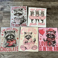 Raccoon Valentine Tees  - Unisex Fit Tees Hoodie, Sweatshirt | RetroVerseTees.com