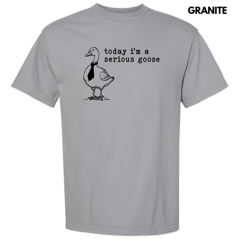 Serious Goose Comfort Colors T-Shirt 'NLB' Hoodie, Sweatshirt | RetroVerseTees.com