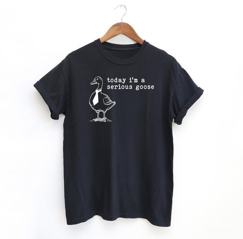 Serious Goose Funny Shirt, Meme Shirt, Menswear T-Shirt Hoodie, Sweatshirt | RetroVerseTees.com