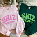 Shiz Sweatshirt Hoodie Embroidered Wickeds Movie, Wizard Shiz University Shirt, Defying Gravitiy Shirt, Wickeds Merch...
