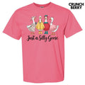 Silly Goose Group Comfort Colors T-Shirt 'NLB' Hoodie, Sweatshirt | RetroVerseTees.com