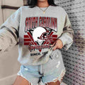 South Carolina Gamecock Vintage Team University College NCAA Unisex Sweatshirt T-Shirts, Hoodie | RetroVerseTees.com