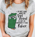 Spirit Animal Has Rabies Raccoon DTF Transfers - THIS IS NOT A SHIRT Hoodie, Sweatshirt | RetroVerseTees.com