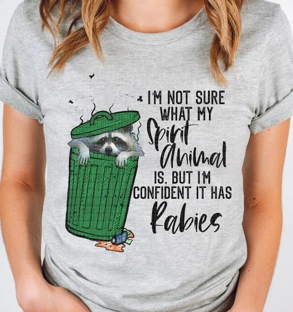 Spirit Animal Has Rabies Raccoon DTF Transfers - THIS IS NOT A SHIRT Hoodie, Sweatshirt | RetroVerseTees.com