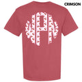 Strawberry Stripe Monogram Comfort Colors T-Shirt 'NLB' Hoodie, Sweatshirt | RetroVerseTees.com