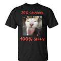 That Silly Cat Meme T-Shirt, Funny Cat Shirt, Silly Tee Hoodie, Sweatshirt | RetroVerseTees.com
