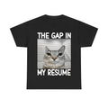 The Gap In My Resume Funny Dank Meme Unisex T-shirt, Cat Lover Gifts, Unhinged Clothes, Brainrot Stupid Shirt Hoodie,...