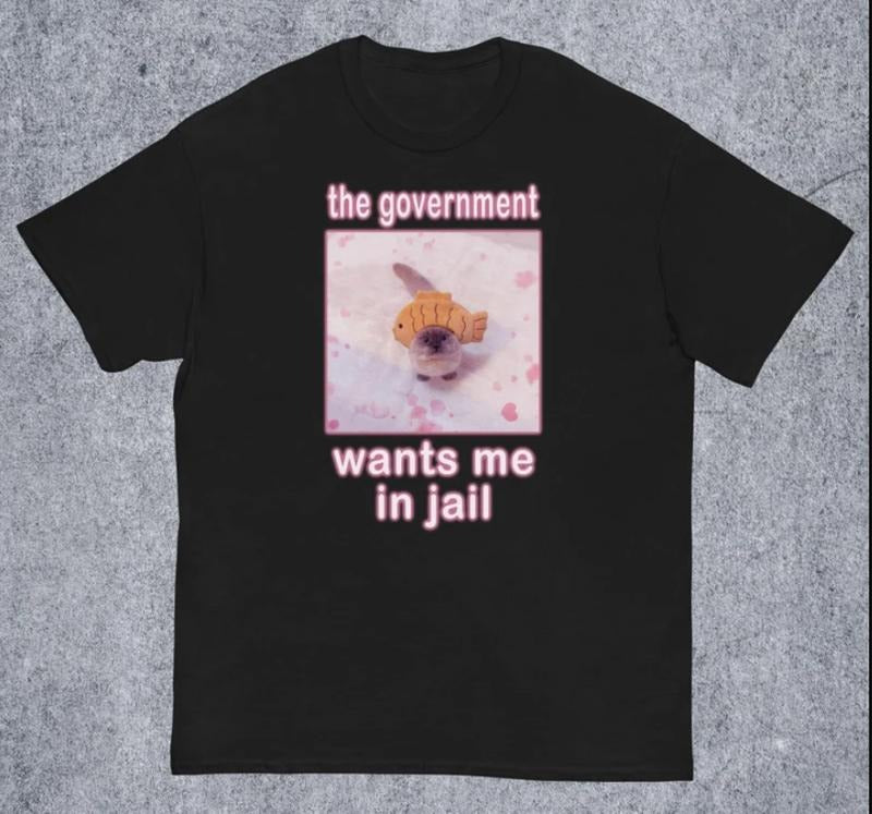The Government Wants Me in Jail Funny Cat Meme T-shirt Hoodie, Sweatshirt | RetroVerseTees.com