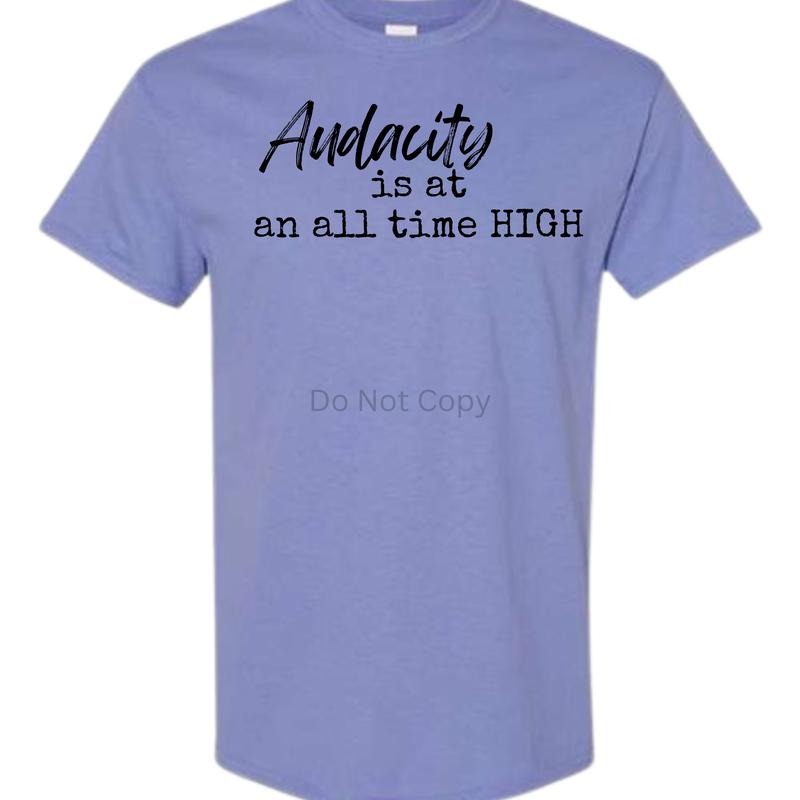 Unisex Size Audacity Is At An All Time High T Shirt - This is a completed Tee Hoodie, Sweatshirt | RetroVerseTees.com