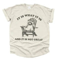 Vintage 90s Funny Racoon TShirt, Meme Shirt Classic Cotton Hoodie, Sweatshirt | RetroVerseTees.com