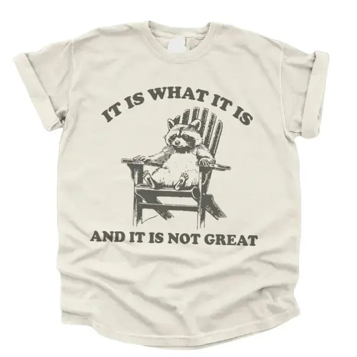 Vintage 90s Funny Racoon TShirt, Meme Shirt Classic Cotton Hoodie, Sweatshirt | RetroVerseTees.com