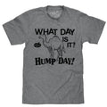 What Day Is It? Hump Day Camel T-Shirt - Gray Hoodie, Sweatshirt | RetroVerseTees.com
