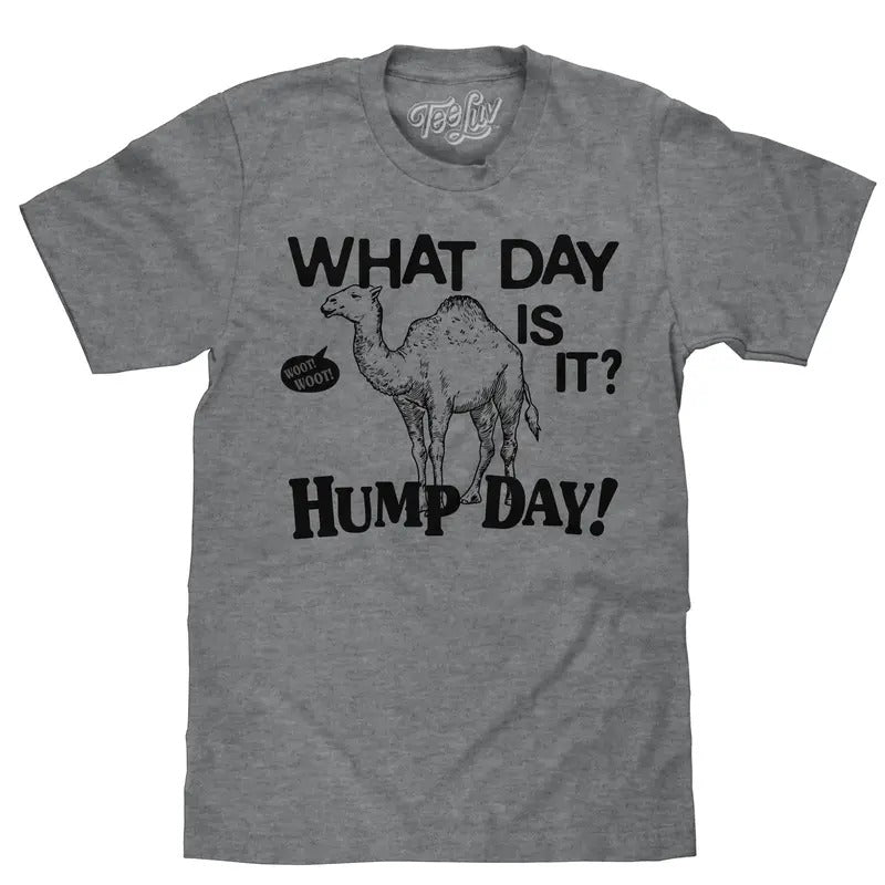 What Day Is It? Hump Day Camel T-Shirt - Gray Hoodie, Sweatshirt | RetroVerseTees.com