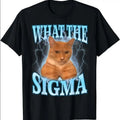 What The Sigma Meme Cat Ironic Brainrot T-Shirt Hoodie, Sweatshirt | RetroVerseTees.com