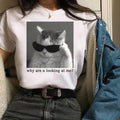 Why Are You Looking At Me Tshirt -cat meme shirt,cat shirts,funny shirt Hoodie, Sweatshirt | RetroVerseTees.com