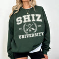 Wicked Shiz University Sweatshirt, Defy Gravity Broomstick Magic Wand Shirt, Changed For Good, Gift For Hẻ Hoodie