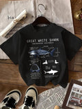 Women'WB shield Great White Shark Print Round Neck Tee, Casual Short Sleeve Crew Neck T-Shirt for Daily Wear, Ladies TNF...