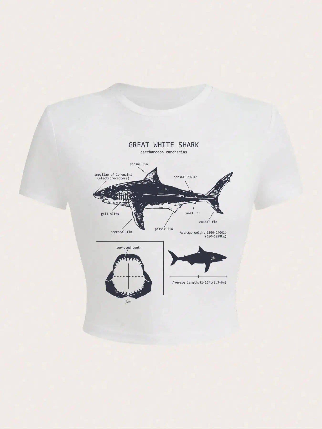 Women'WB shield White Shark Graphic Tee, Casual Short Sleeve Round Neck T-Shirt for Summer, Ladies TNF for Daily Wear...