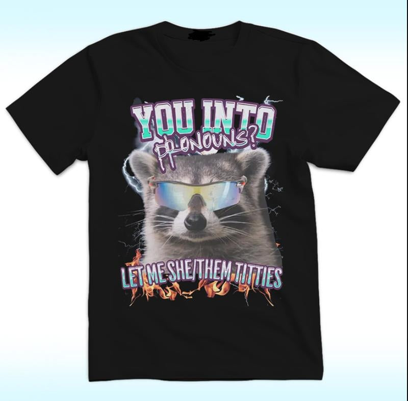 You Into Pronouns Shirt, Let Me She Hoodie, Sweatshirt | RetroVerseTees.com