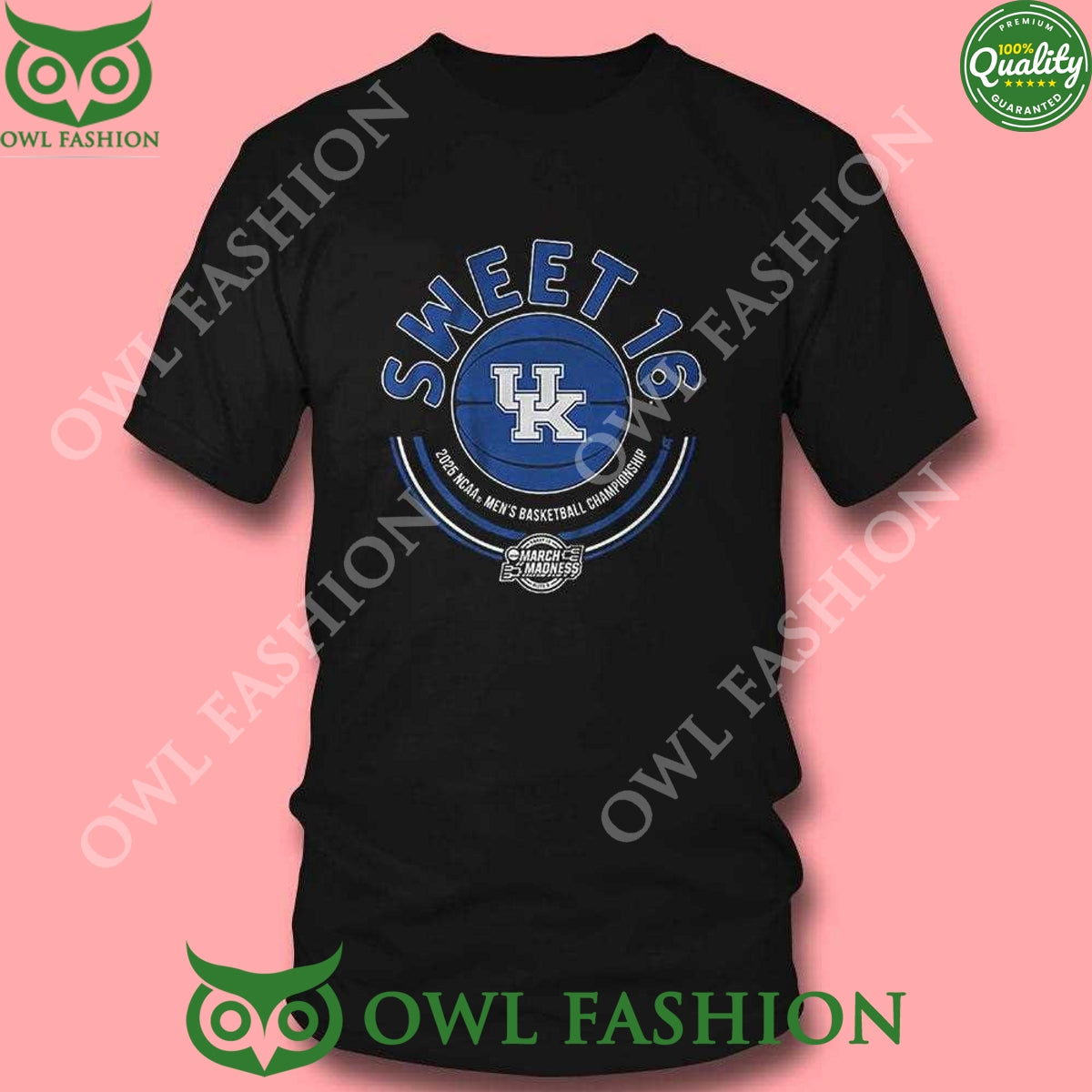 Kentucky Wildcats 2025 NCAA Men’s Basketball Championship Sweet 16 t Shirt