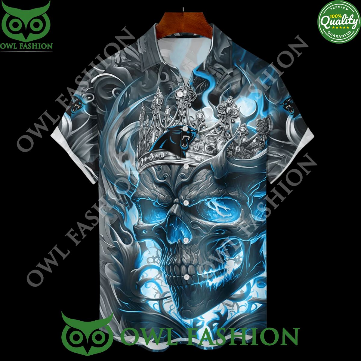 Carolina Panthers Custom Name Number Special Edition Hoodie Shirt