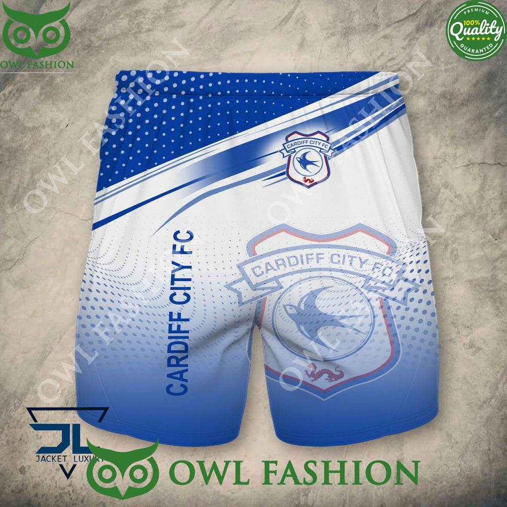 Cardiff City F.C EFL Champion 2024 3D Hoodie Shirt