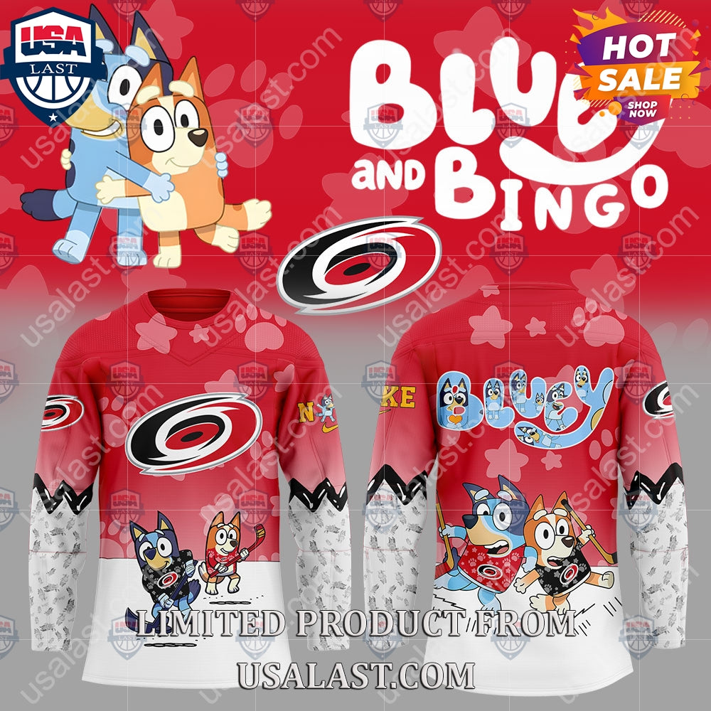 Carolina Hurricanes NHL Bluey and Bingo Hoodie