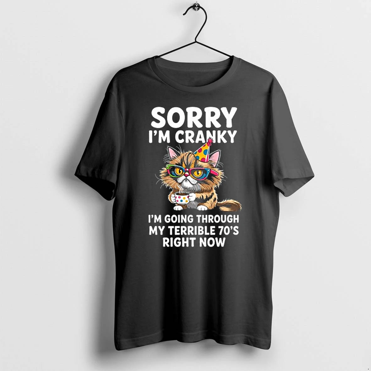 Cat Sorry Im Cranky Im Going Through My Terrible 70s 0 Tshirts Sweater