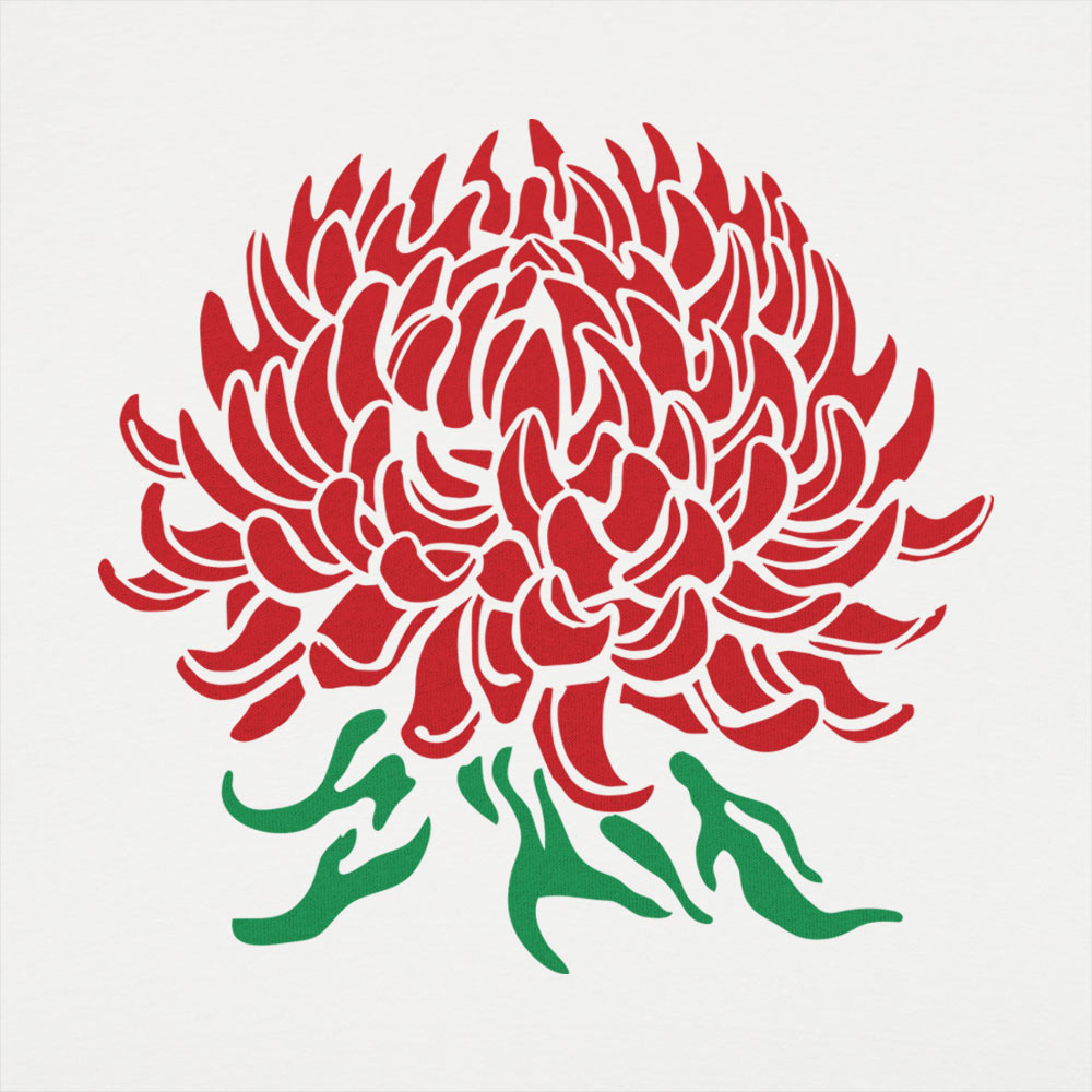 Chrysanthemum