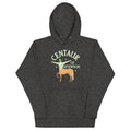 Centaur Of Attention Unisex Hoodie