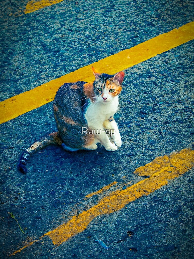 cat between yellow lines by Raw-sp