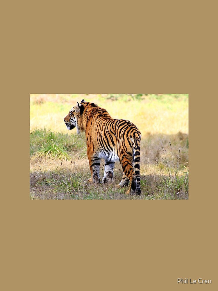 Sumatran Tiger (6) by Phil Le Cren