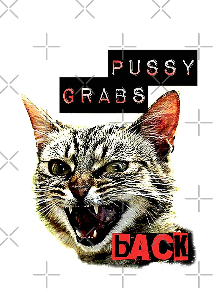 Pussy Grabs Back (white background) by Thelittlelord