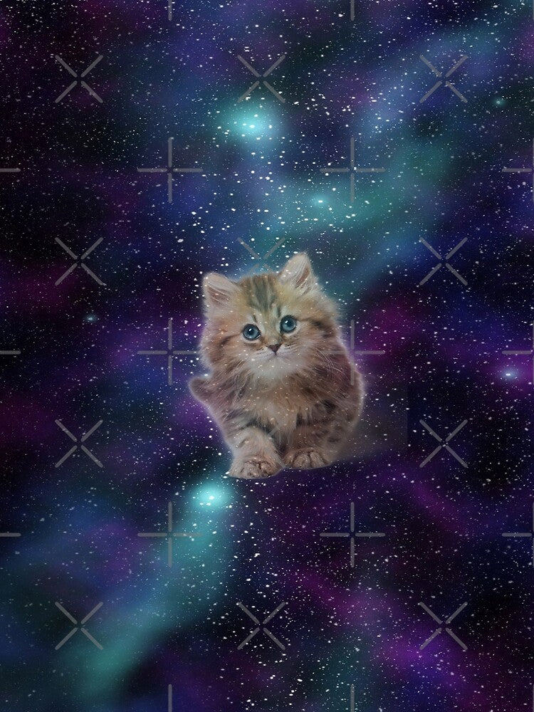 Space cat - MEOW! by PYHC
