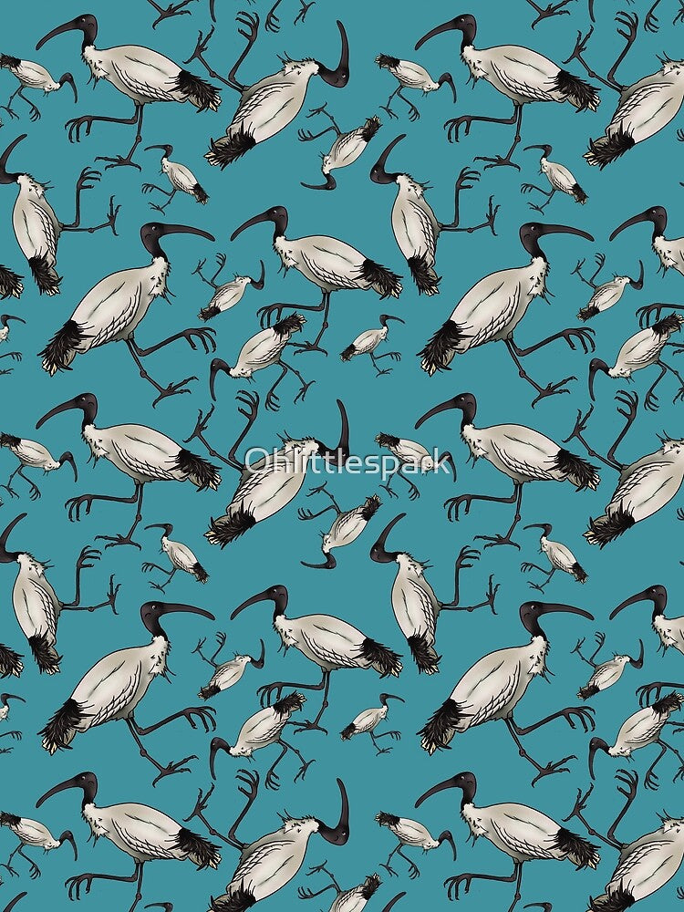 White Ibis / Bin Chickens by Ohlittlespark