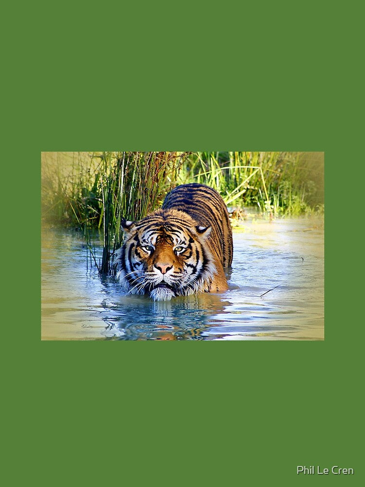 Sumatran Tiger (3) by Phil Le Cren