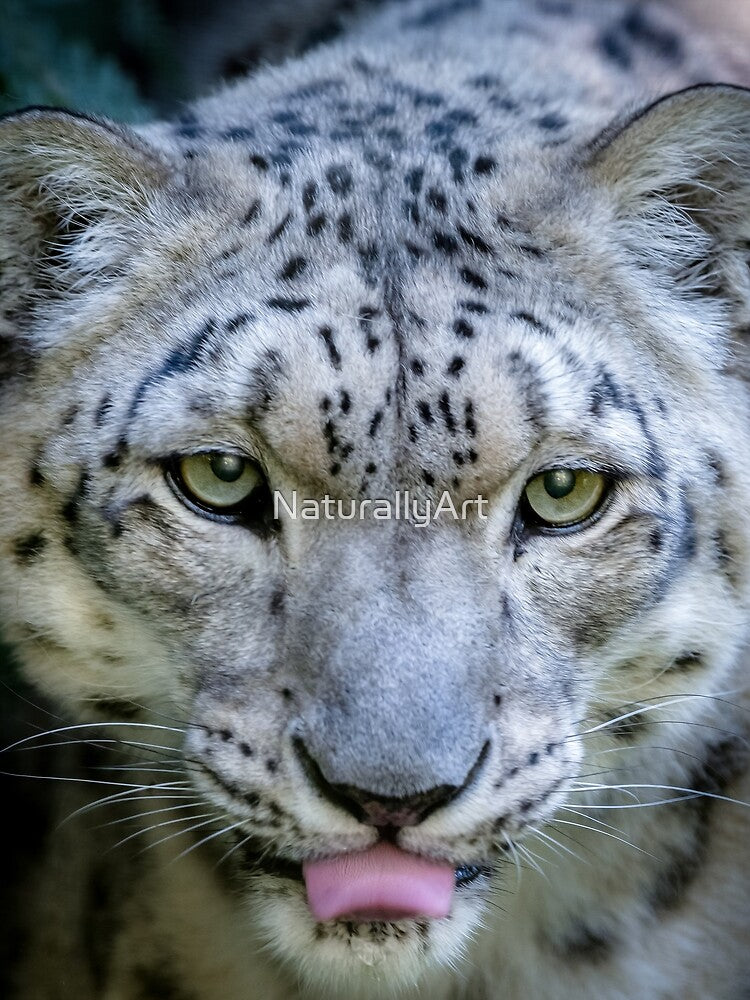 On the Prowl by NaturallyArt