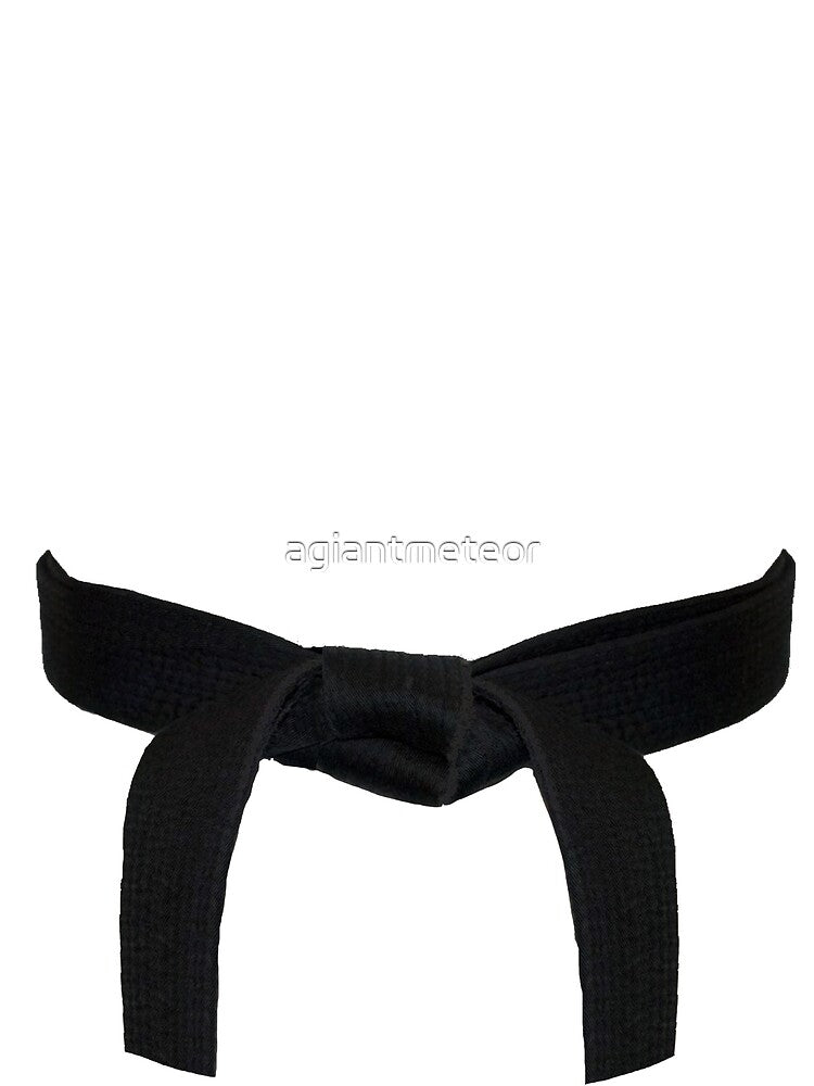 Martial Arts Black Belt by agiantmeteor